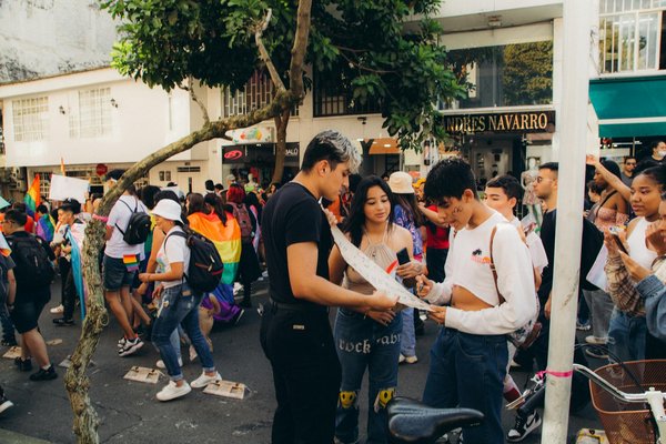 Matériaux de construction écologiques : votre guide pratique